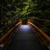 【相棒season24】第19話「暗闇の鬼」（最終回SP）を解説