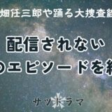 サブスクで配信されない幻のドラマやエピソードとその視聴方法を紹介