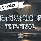 【感想】劇場版 緊急取調室 THE FINAL
